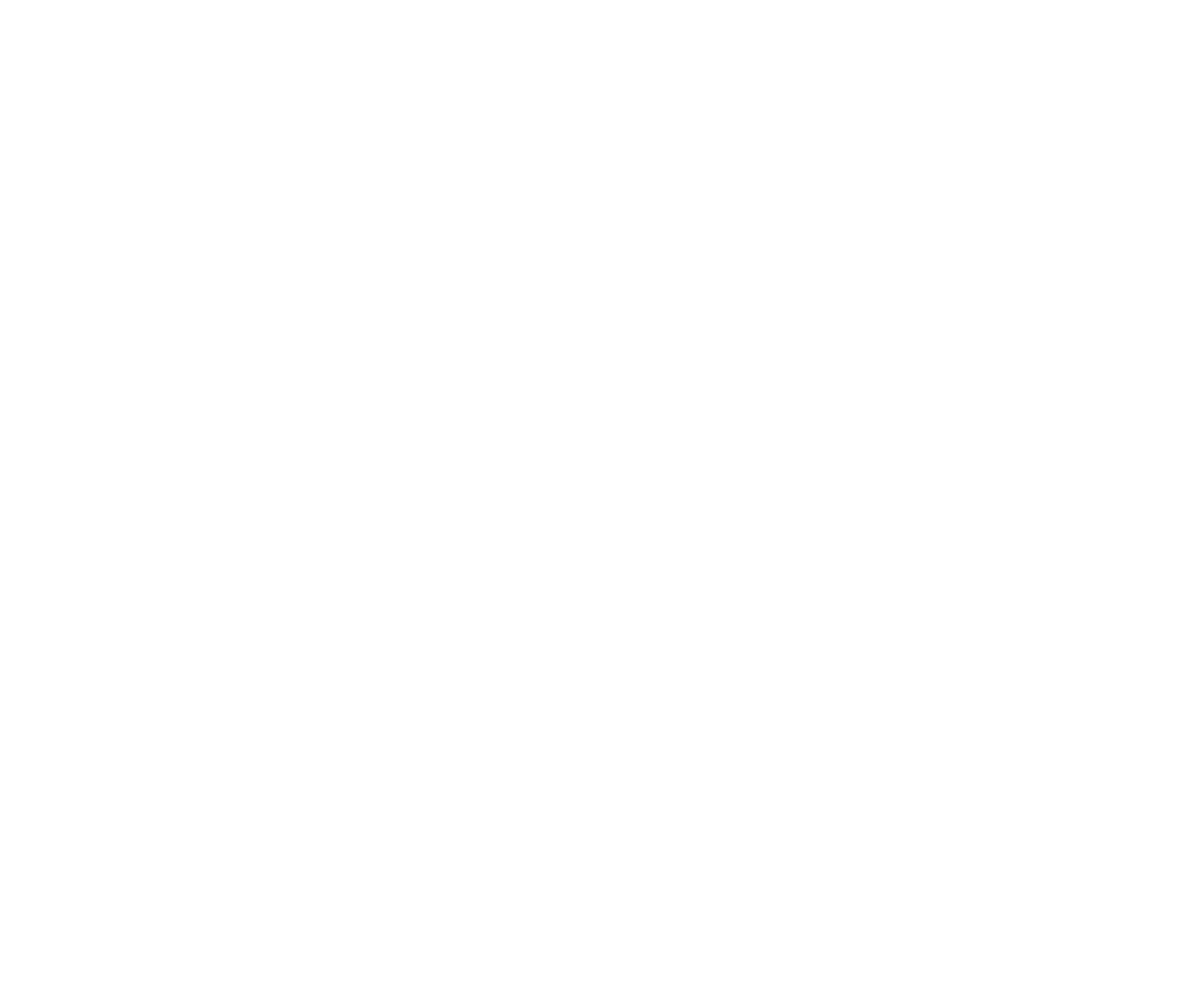 www.codevoid.site favicon